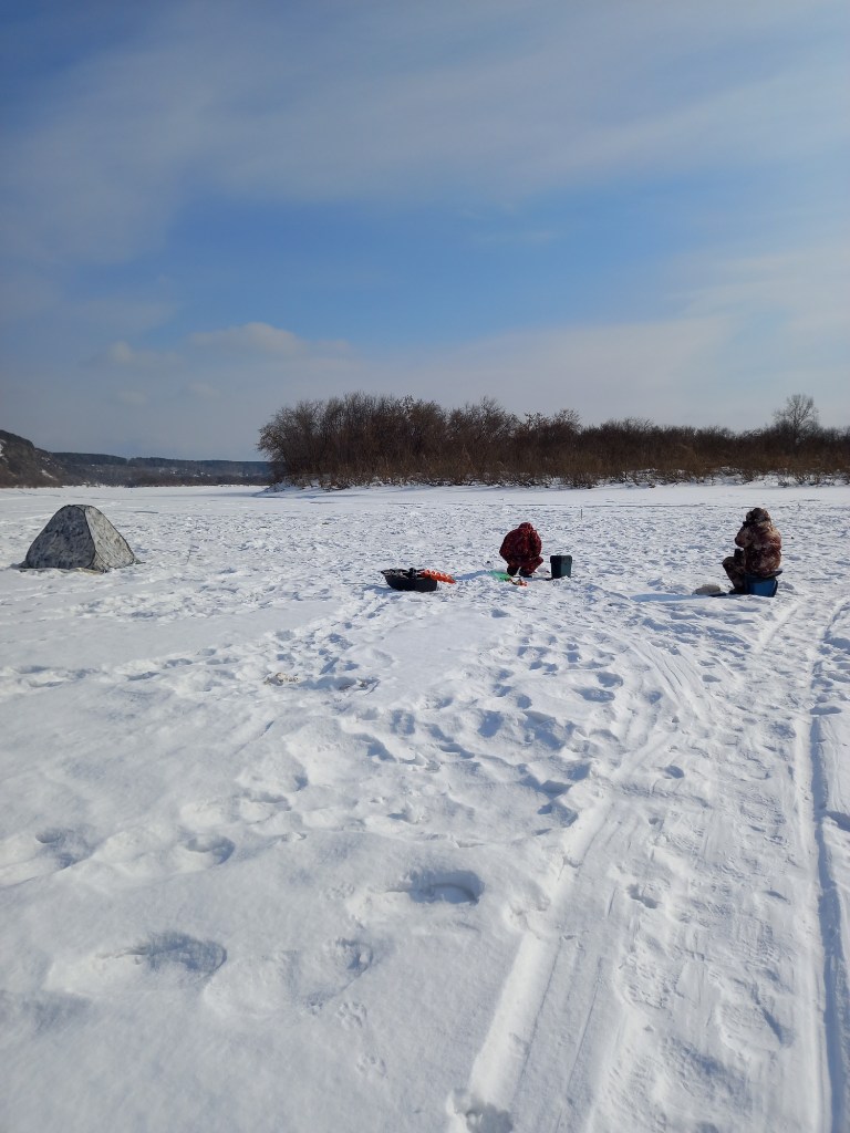 20250310_140553.jpg