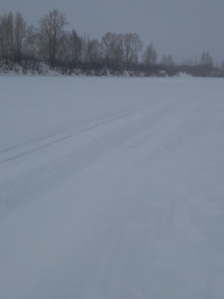 20250311_131856.jpg