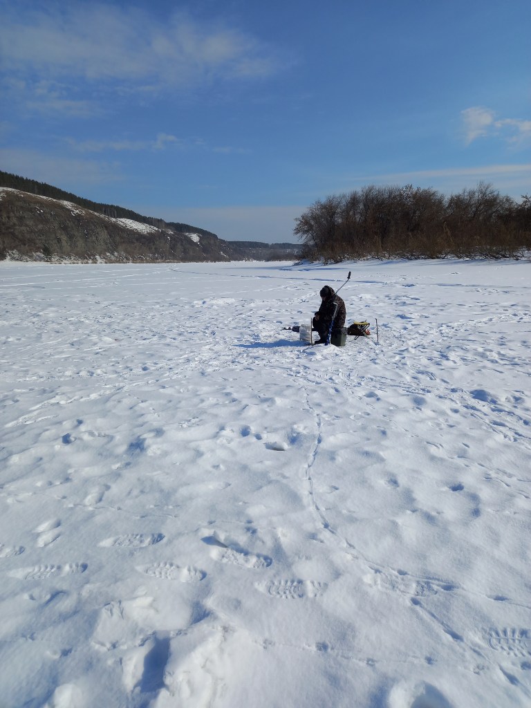 20250314_140159.jpg