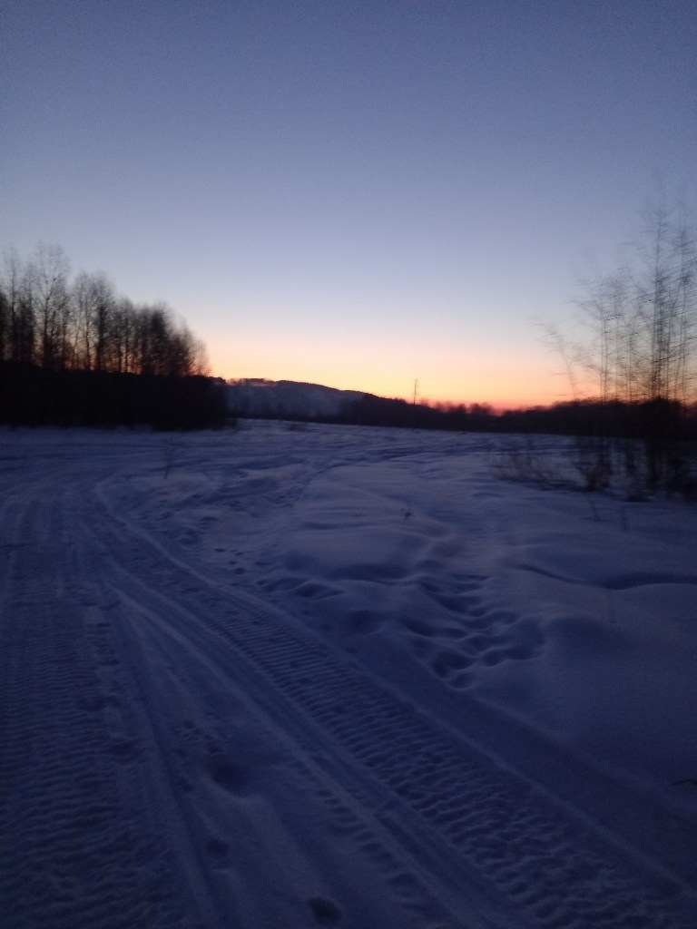 20250316_064644.jpg