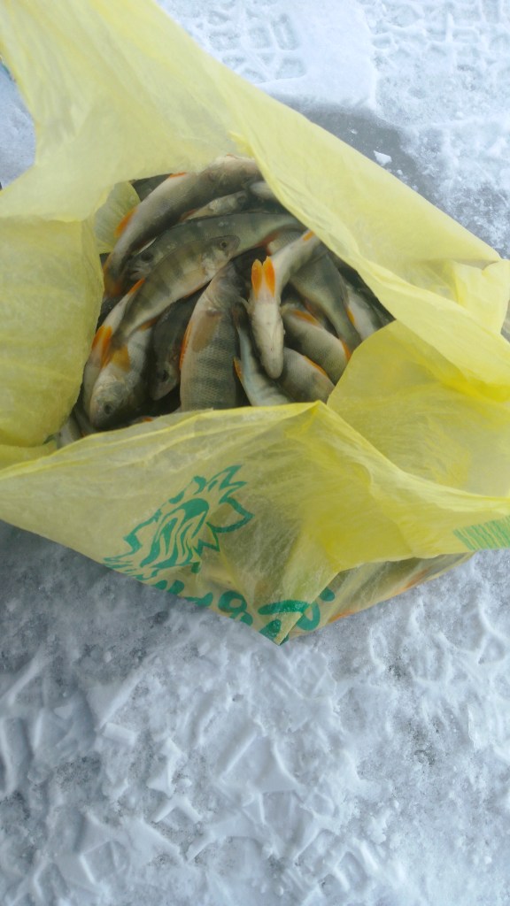 IMG-20250322-WA0000.jpeg