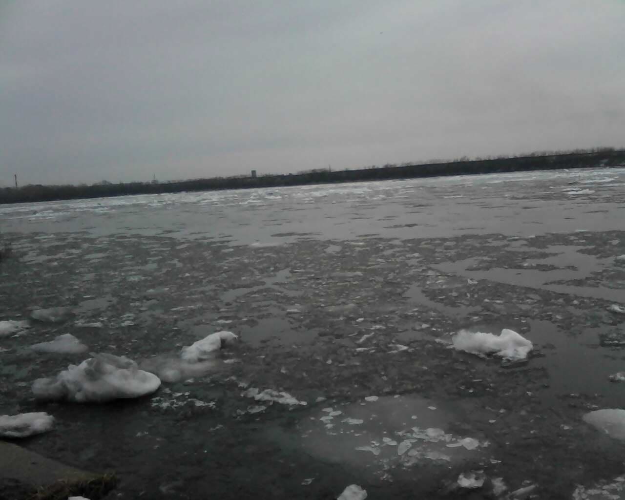 IMG-20250403-WA0011.jpg