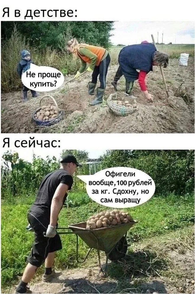tmpкартоф.jpg