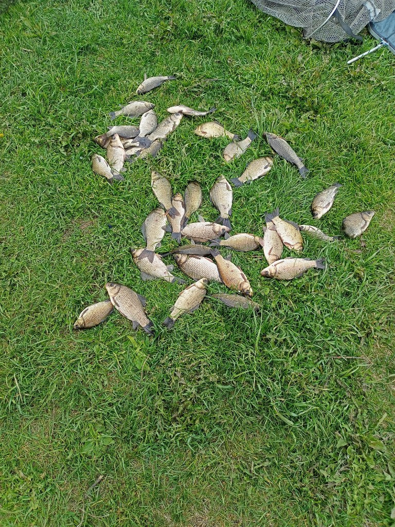 IMG20250516171754.jpg