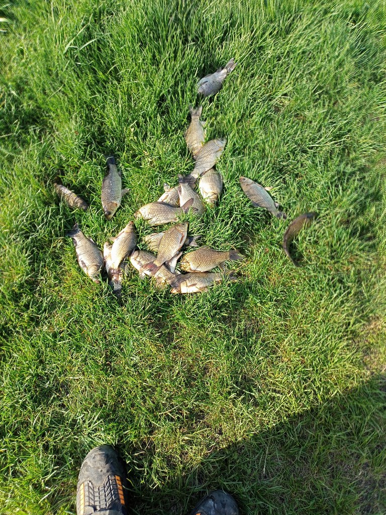 IMG20250521174440.jpg