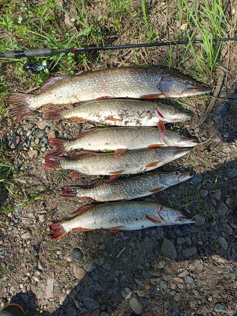 IMG_20250530_160054_186.jpg