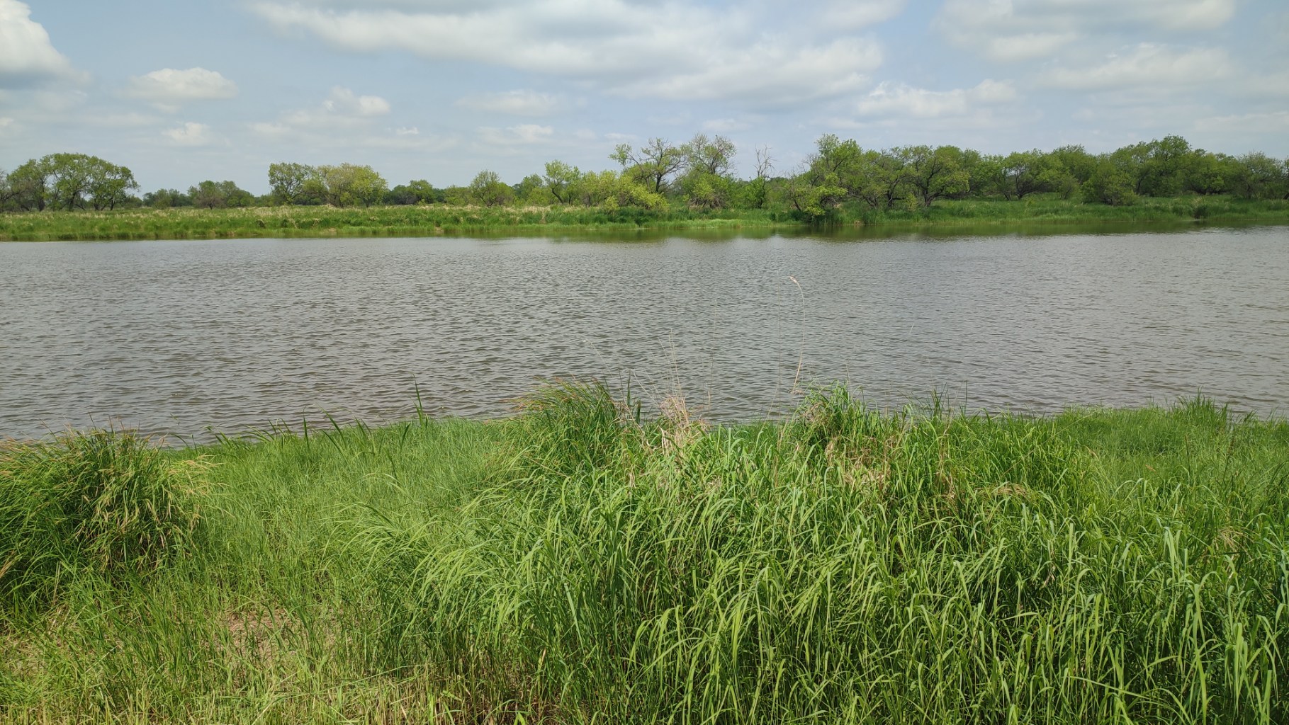 IMG_20250602_134318.jpg