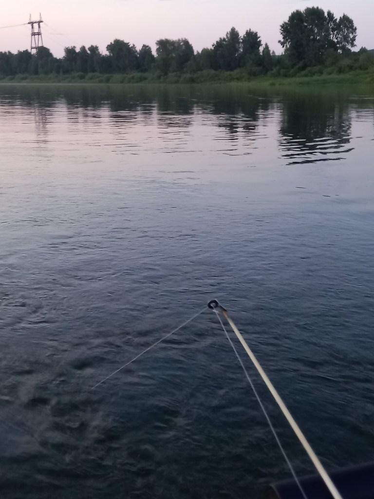 20250703_221506.jpg