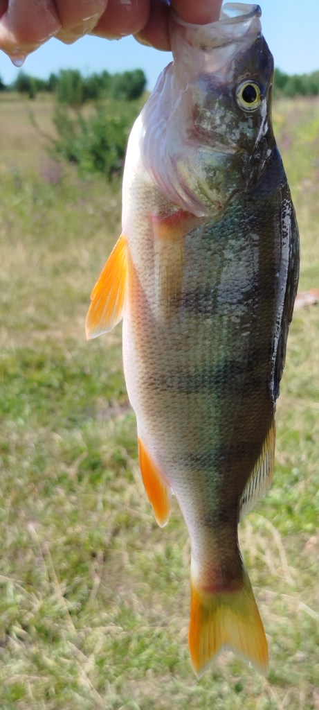 IMG_20250725_105355.jpg