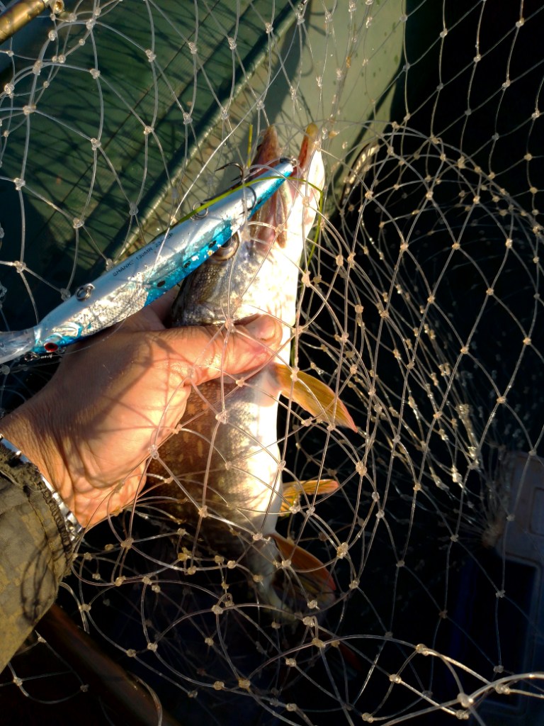 IMG_20250729_070056.jpg