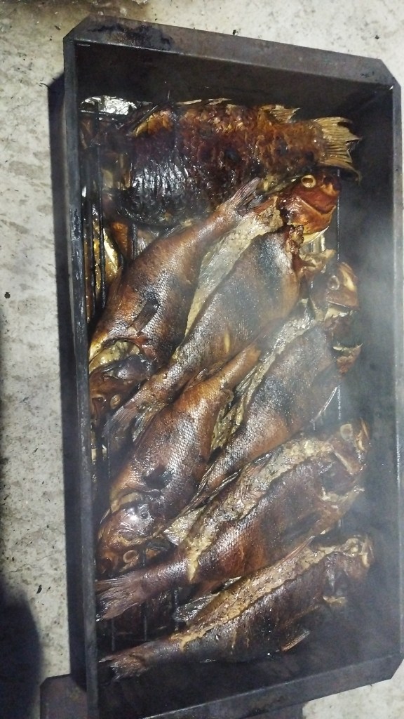 IMG-20250823-WA0060.jpeg