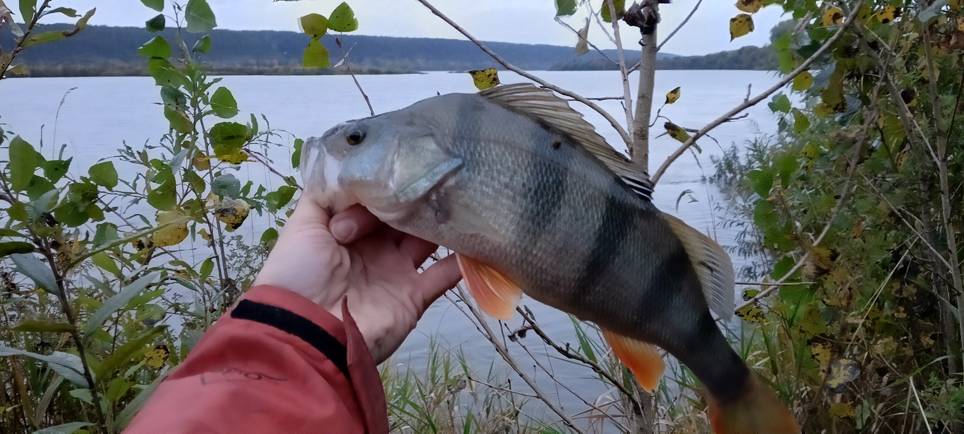 IMG20250913065859.jpg