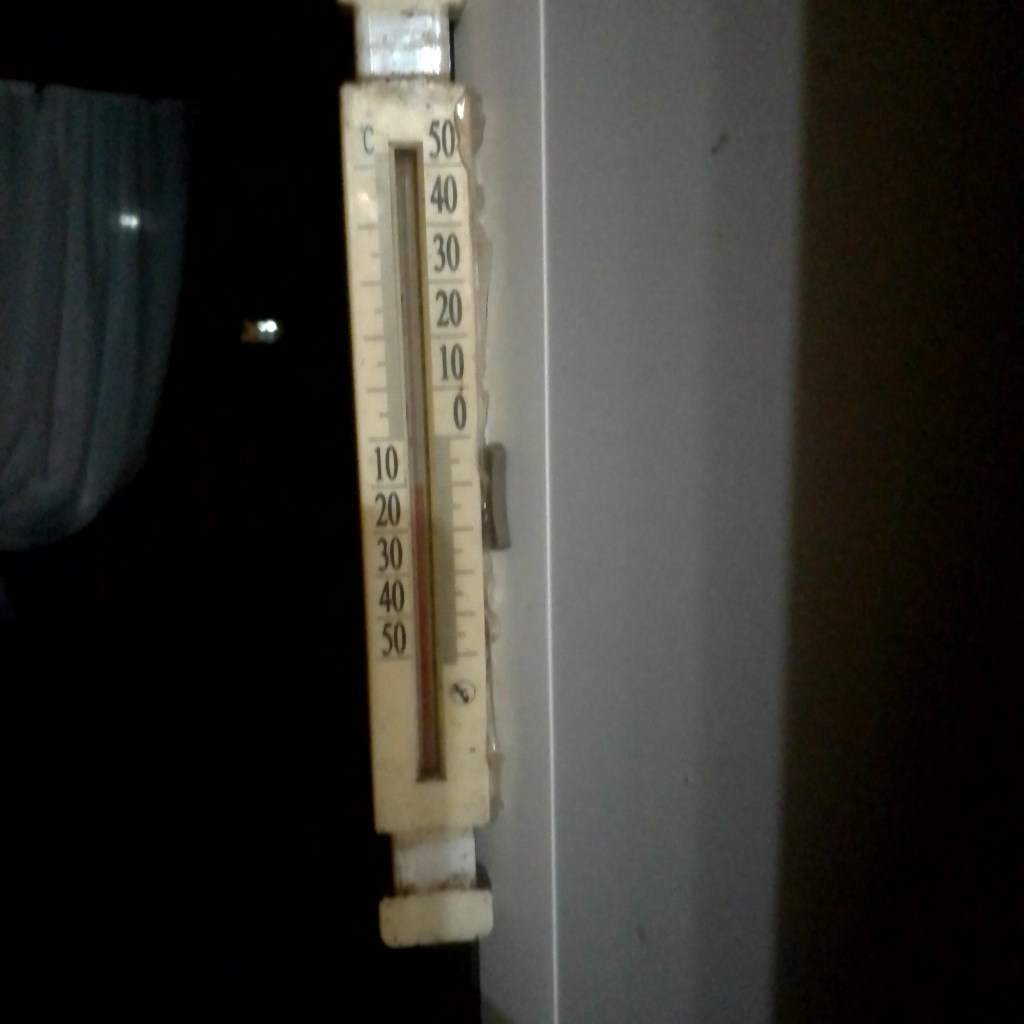 IMG_20251014_060432.jpg