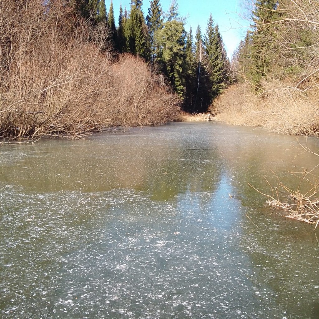IMG-20251016-WA0004.jpg