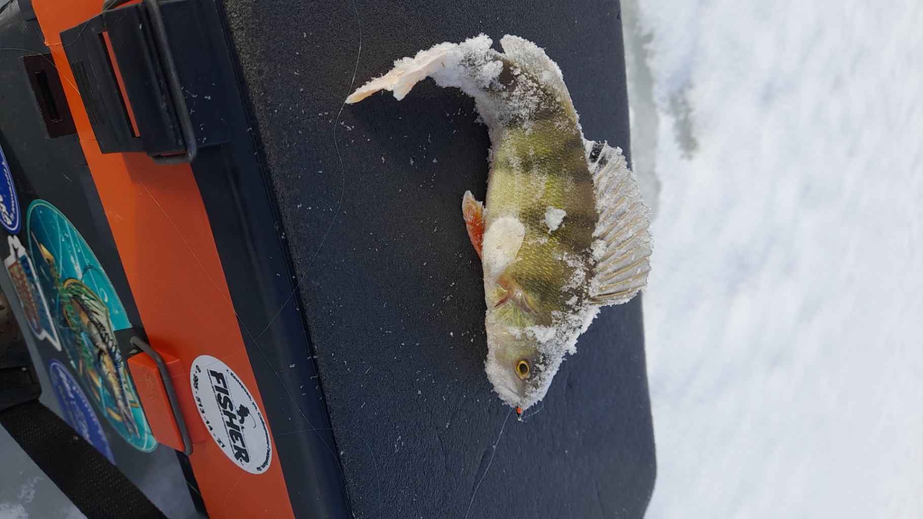 IMG-20251114-WA0027.jpeg
