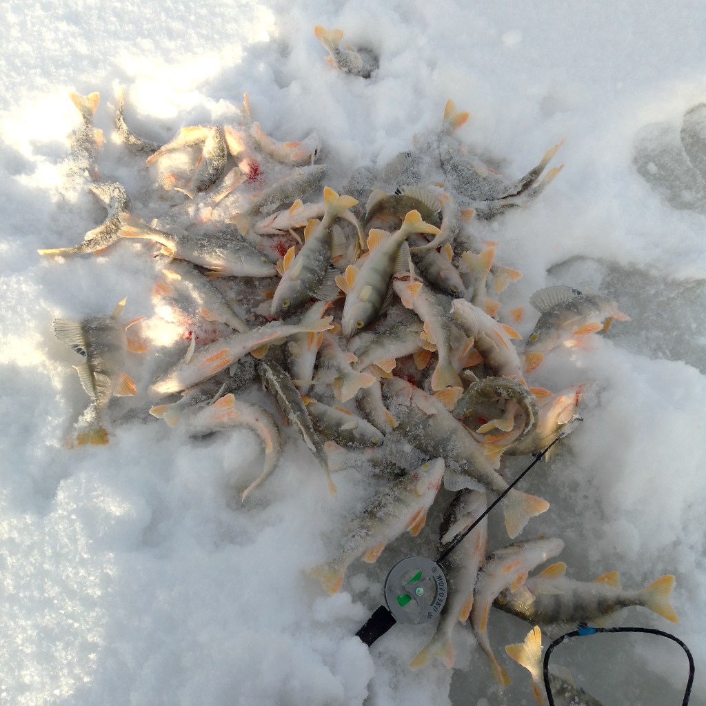 IMG_20251115_111114.jpg