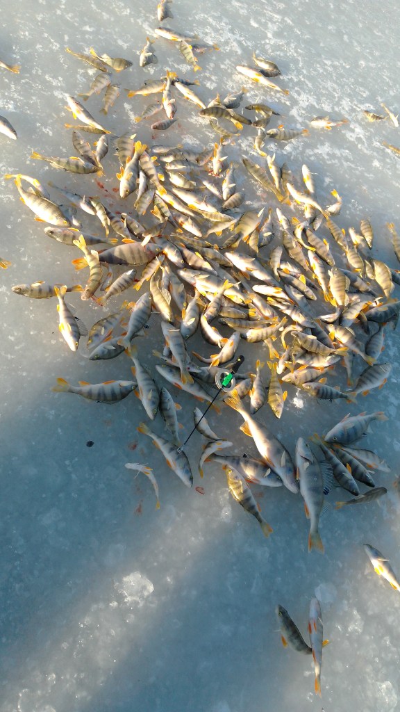 IMG-20251117-WA0002.jpeg