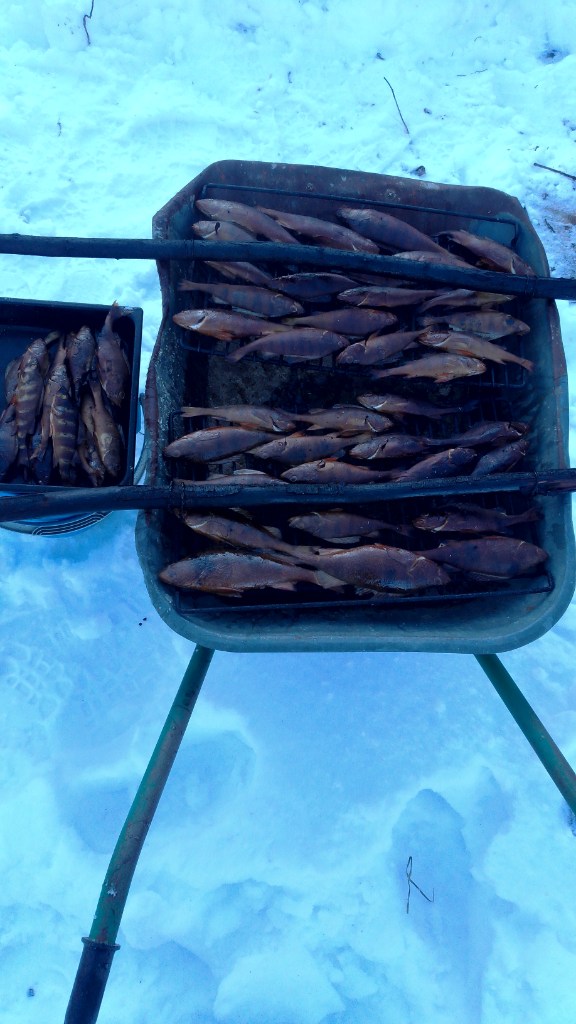 IMG-20251118-WA0007.jpeg