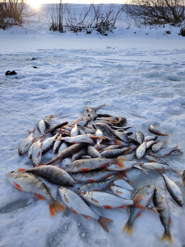 Промышленка
