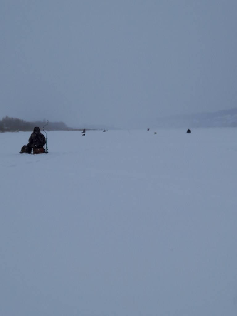 20251207_124832.jpg