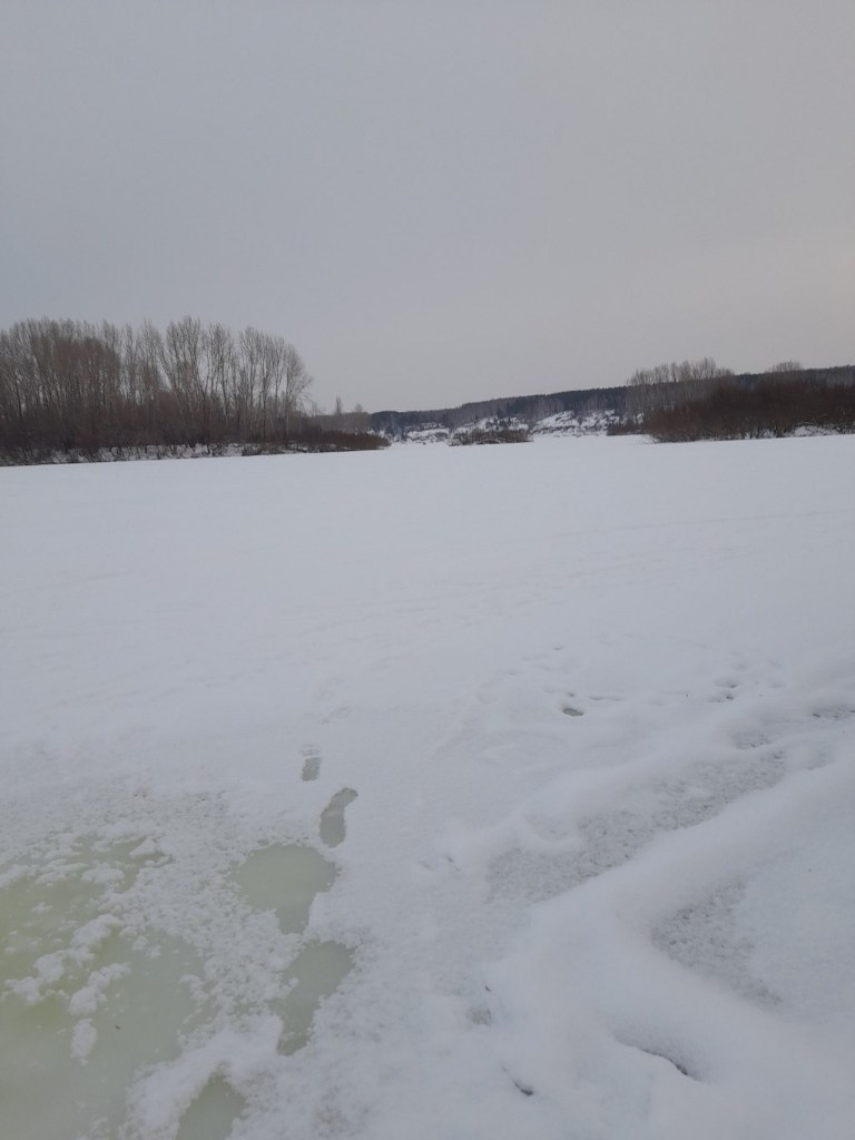 20251217_103852.jpg