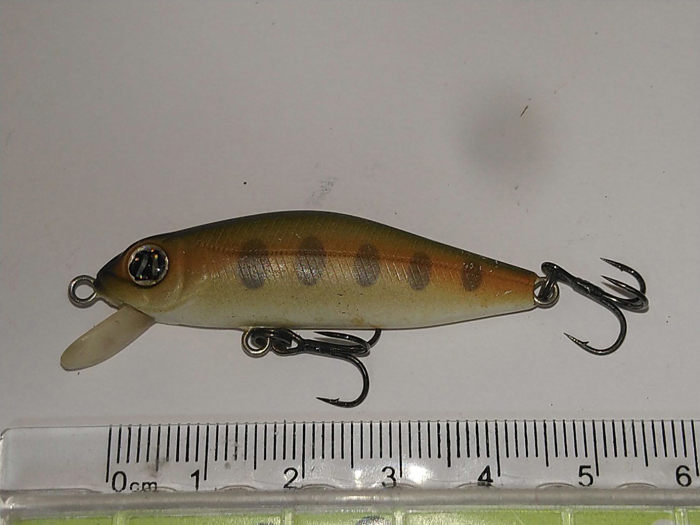 DSC_7836.JPG