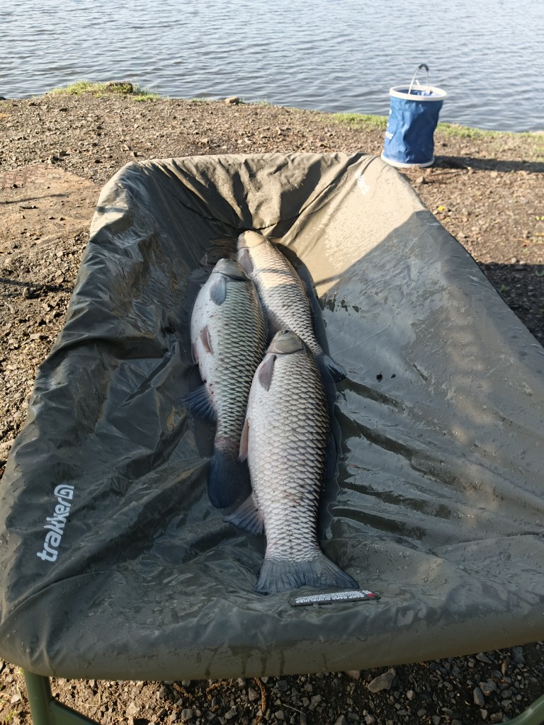IMG_20260510_081017_682.jpg