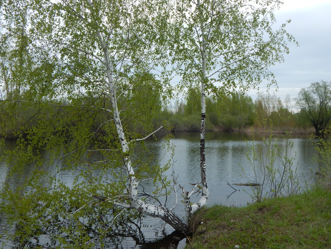 DSCN4930.JPG