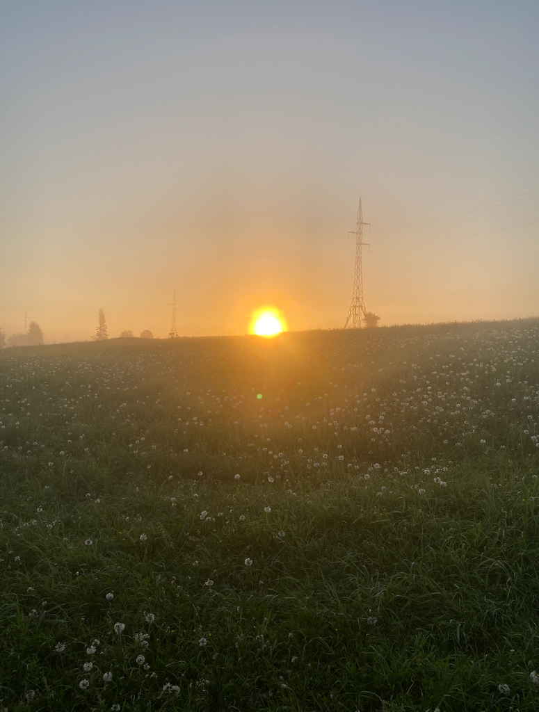 Снимок экрана 2026-06-10 в 12.24.13.png