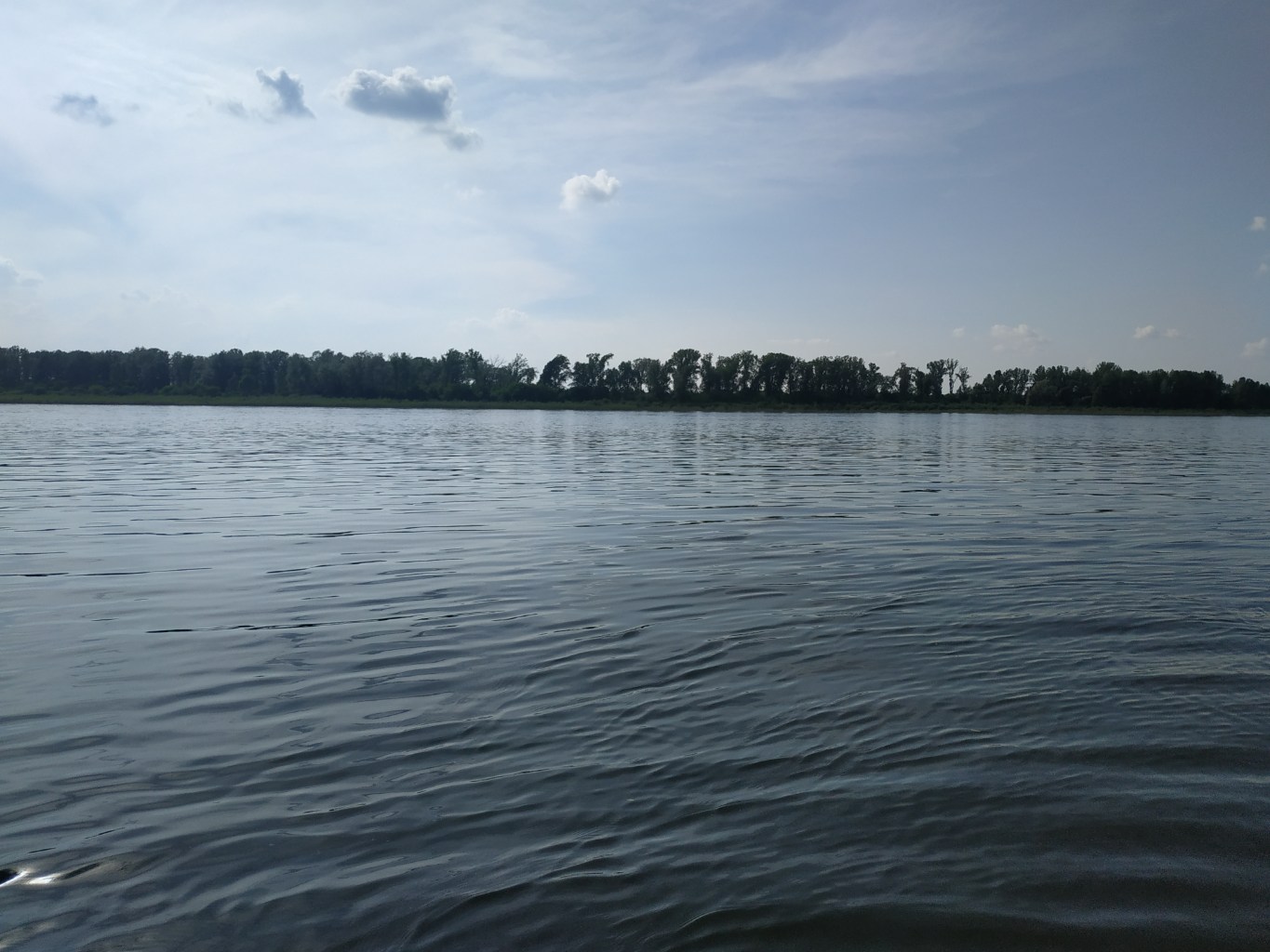 IMG_20260613_165104.jpg