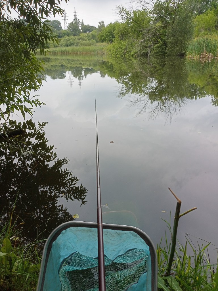 IMG20260730111529.jpg