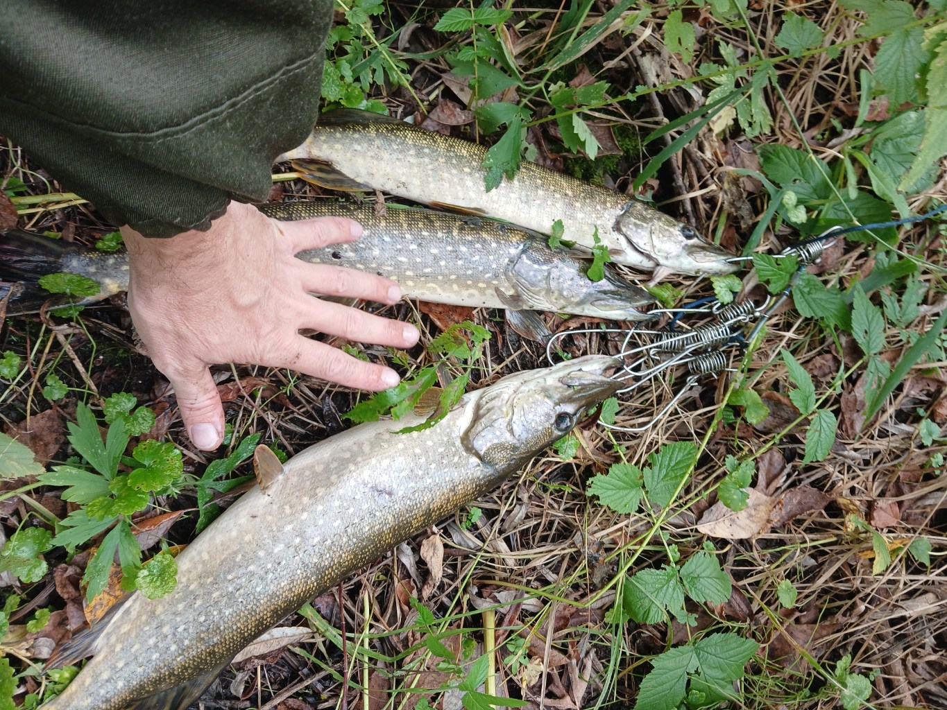 20260922_154351.jpg