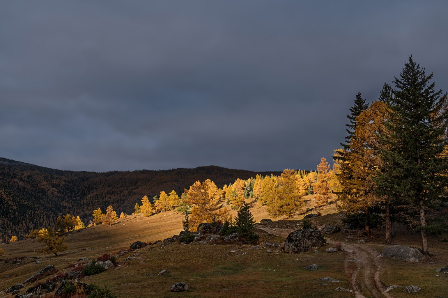777_2526-1.jpg