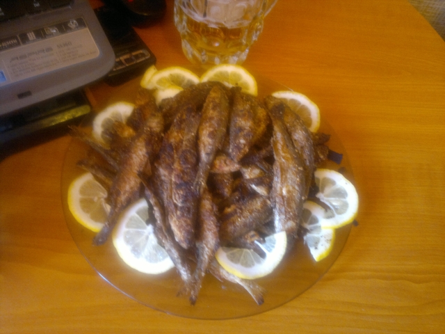 pic.jpg