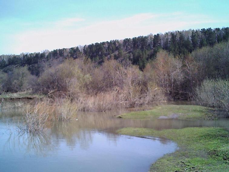 ляпка.JPG