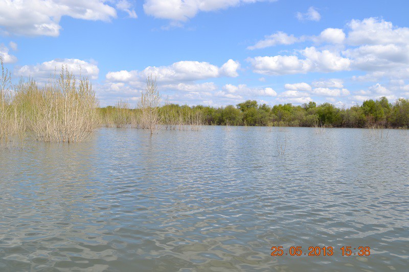 DSC_0175.JPG