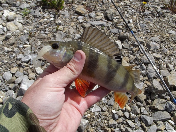 DSCF0571.JPG