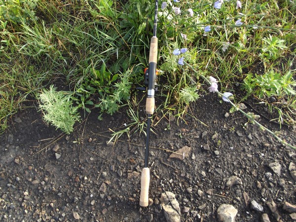 DSCF07651.jpg