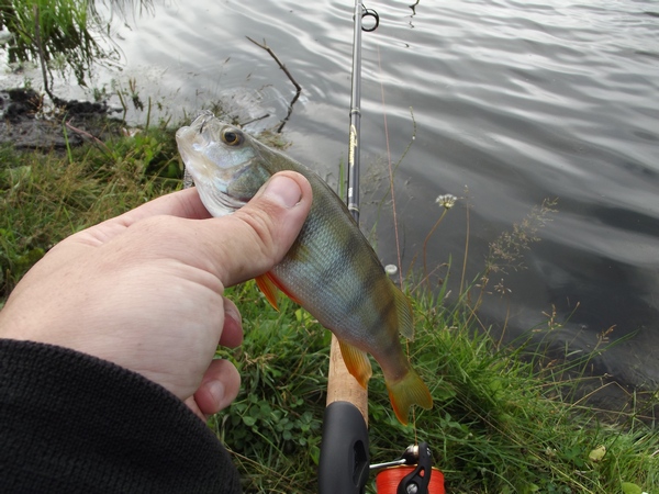 DSCF07771.jpg