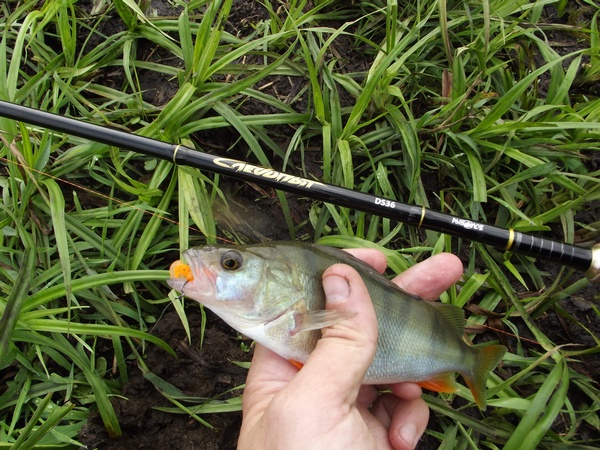 DSCF07811.jpg