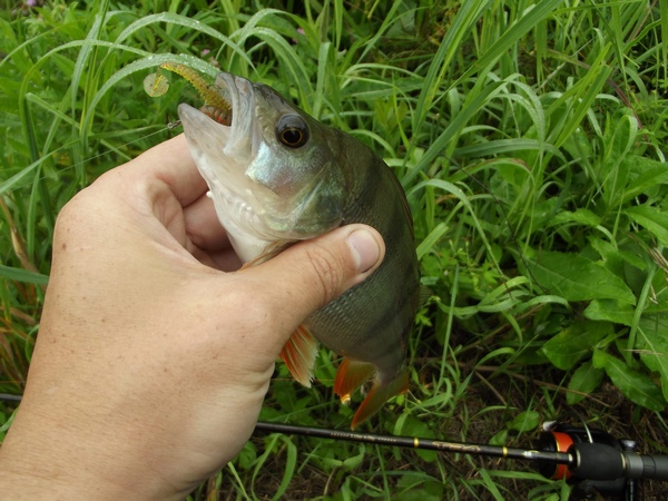 DSCF0823.JPG