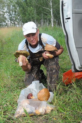 Грибы.jpg