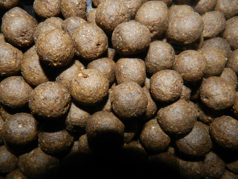 Spicy Shellfish