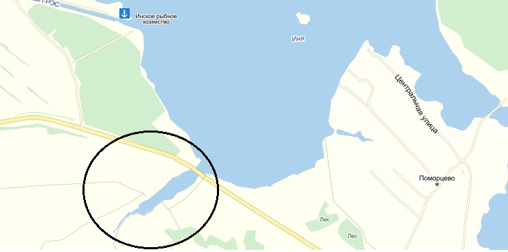 лужа.jpg