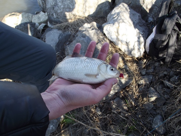 DSCF1138.JPG