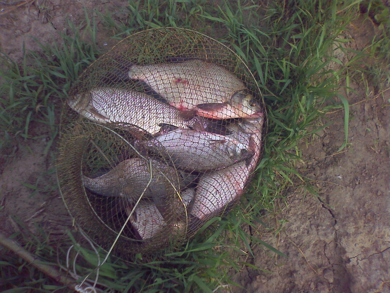 IMAGE_708.jpg