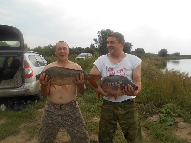 DSCN0503.JPG