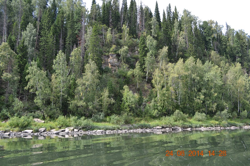 DSC_1218.JPG