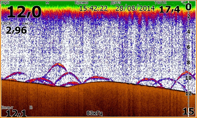 Screen013.jpg