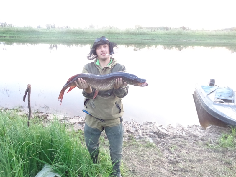 DSC0550888.jpg